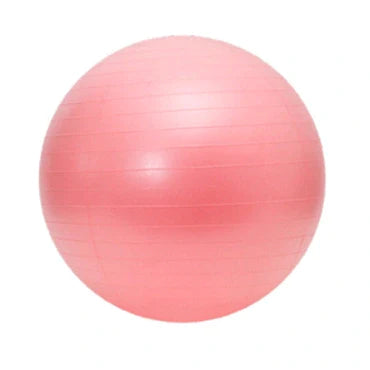 EXERCISE BALL